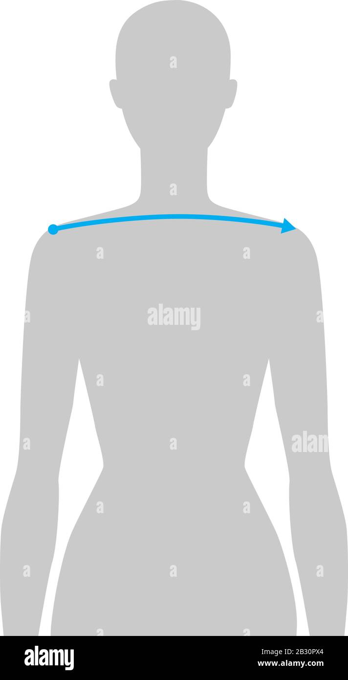 Donna da fare misurazione della larghezza della spalla Illustrazione per la tabella delle dimensioni. 7.5 ragazza di taglia della testa per il luogo o il negozio in linea. Modello infografico per il corpo umano per i vestiti. Illustrazione Vettoriale