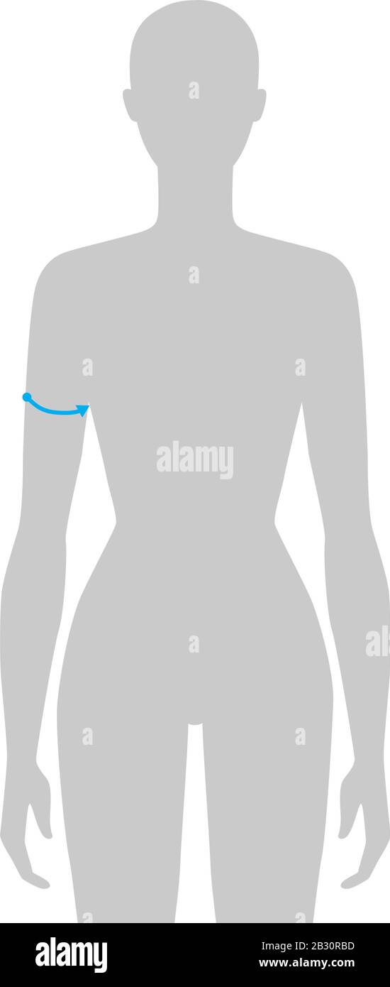Donna da fare misurazione bicipite Illustrazione di modo per tabella di formato. 7.5 ragazza di taglia della testa per il luogo o il negozio in linea. Modello infografico per il corpo umano per i vestiti. Illustrazione Vettoriale