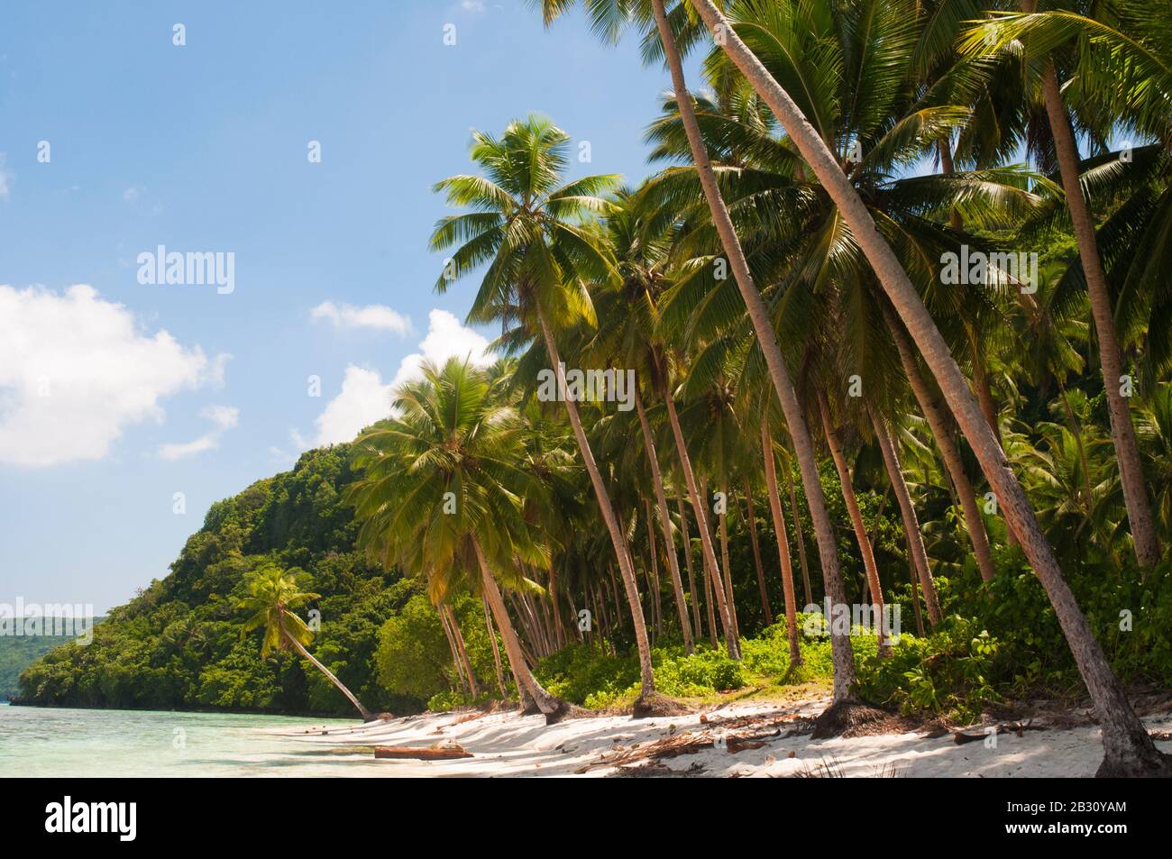 Spiaggia sulla remota Rennell Island, Isole Salomone. Gli abitanti sono polinesiani, a differenza di altri isolani Salomone. Foto Stock
