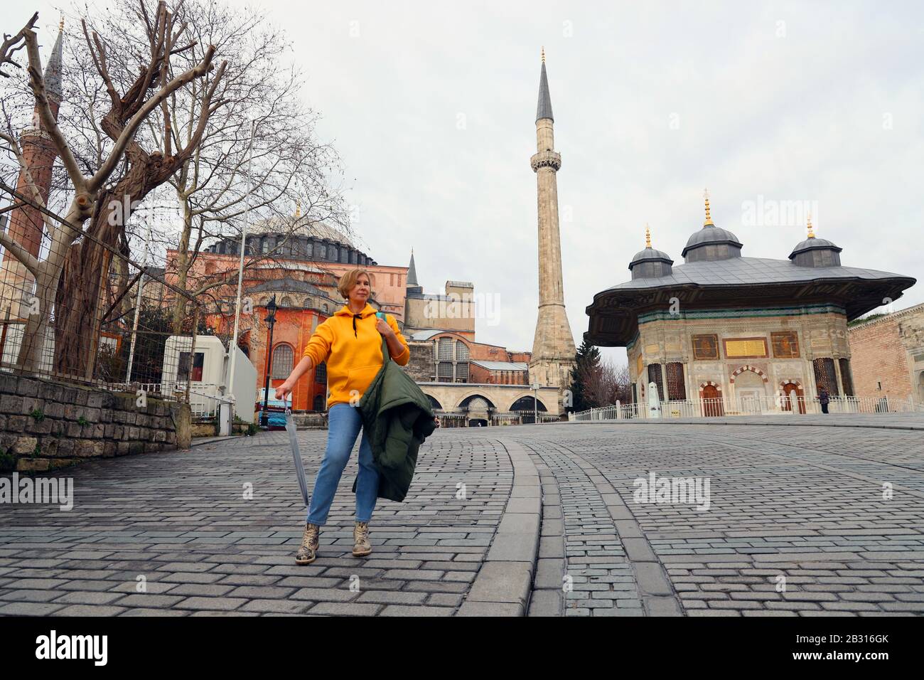 Hagia Sophia a Istanbul. Primo piano. Turchia Foto Stock