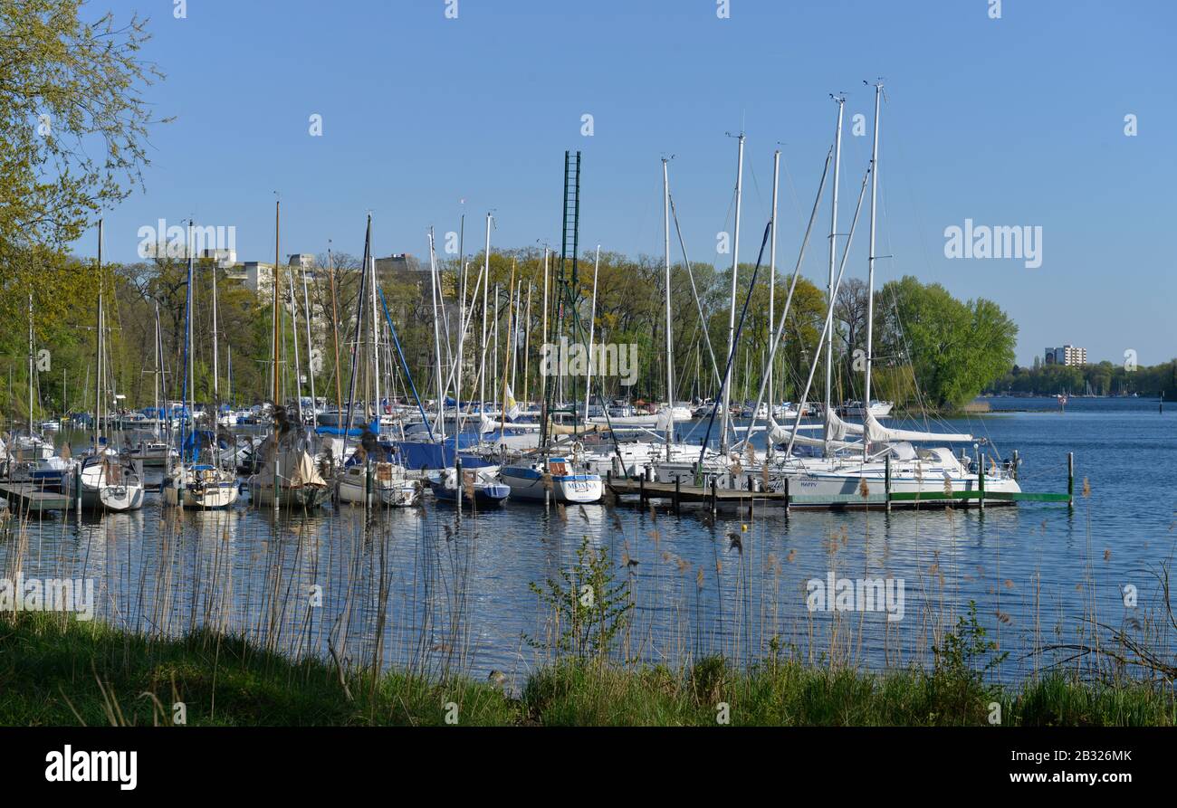 Bootsanleger, Grosse Malche, Tegeler See, Tegel, Reinickendorf, Berlino, Deutschland Foto Stock