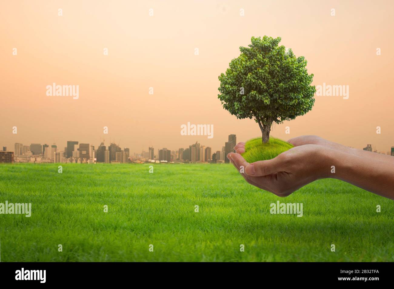 World Environment Day Concept: Mani che tengono un grande albero sullo sfondo della città. Foto Stock