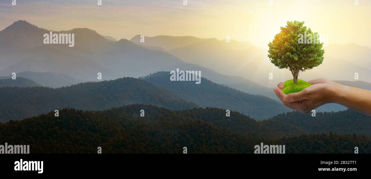 World Environment Day Concept: Mani che tengono un grande albero su cielo e sfondo di montagna. Foto Stock