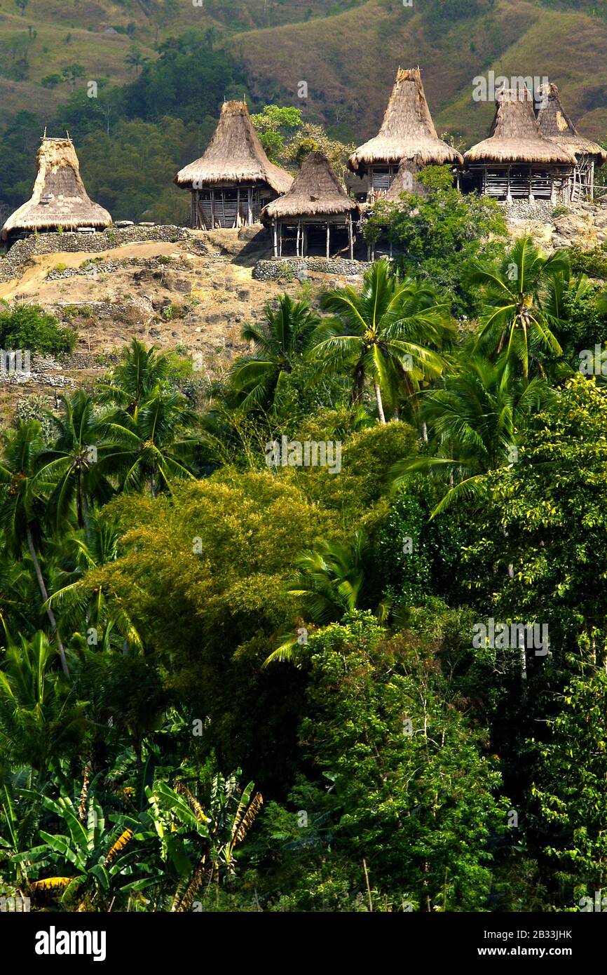 tradizionale capanna di abitante nell'isola di sumba -indonesia Foto Stock