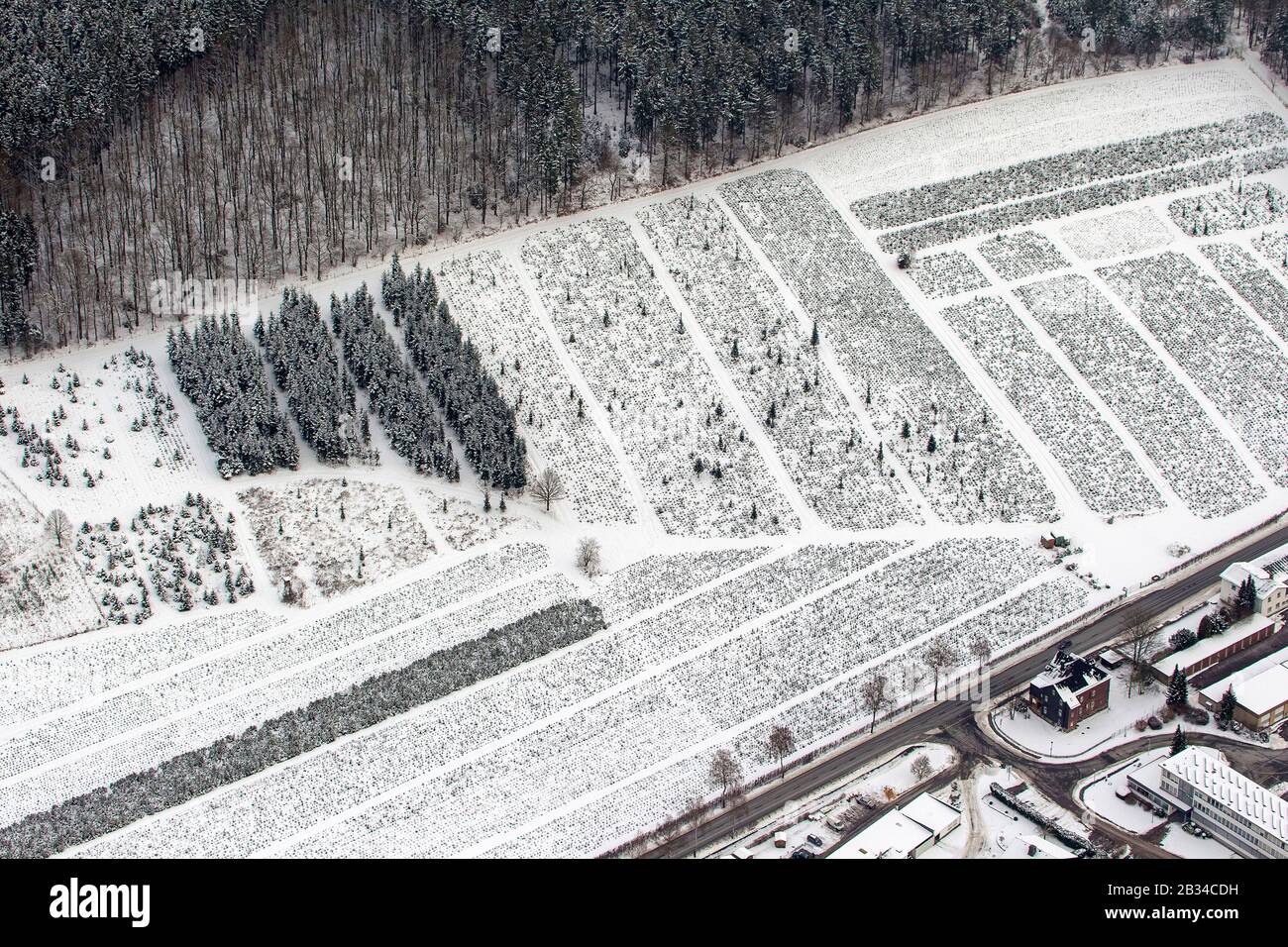 , file di un vivaio a Arnsberg, 26.01.2013, vista aerea, Germania, Renania Settentrionale-Vestfalia, Sauerland, Arnsberg Foto Stock