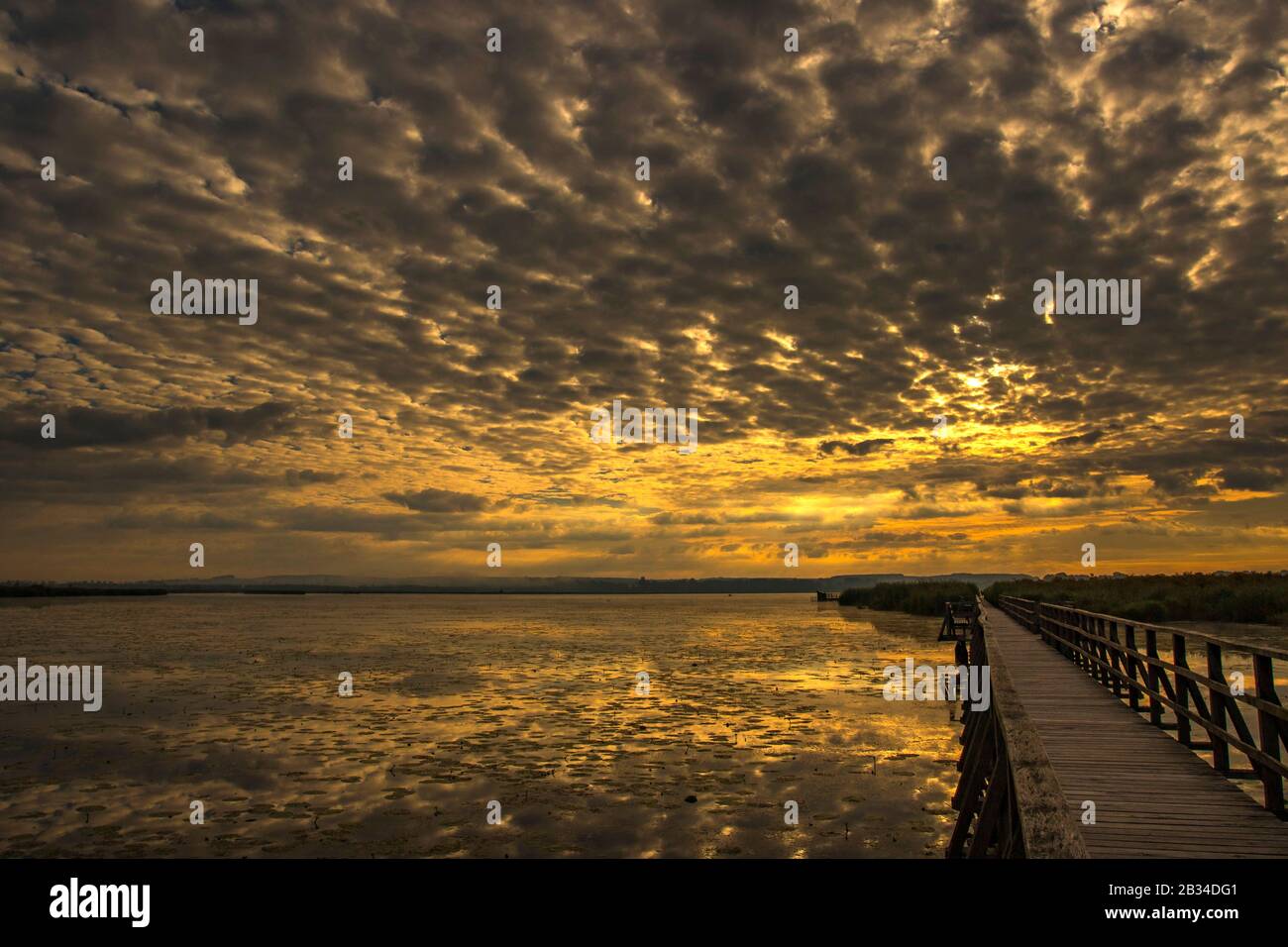 Lago Federsee all'alba, Germania, Baden-Wuerttemberg, Bad Buchau Foto Stock