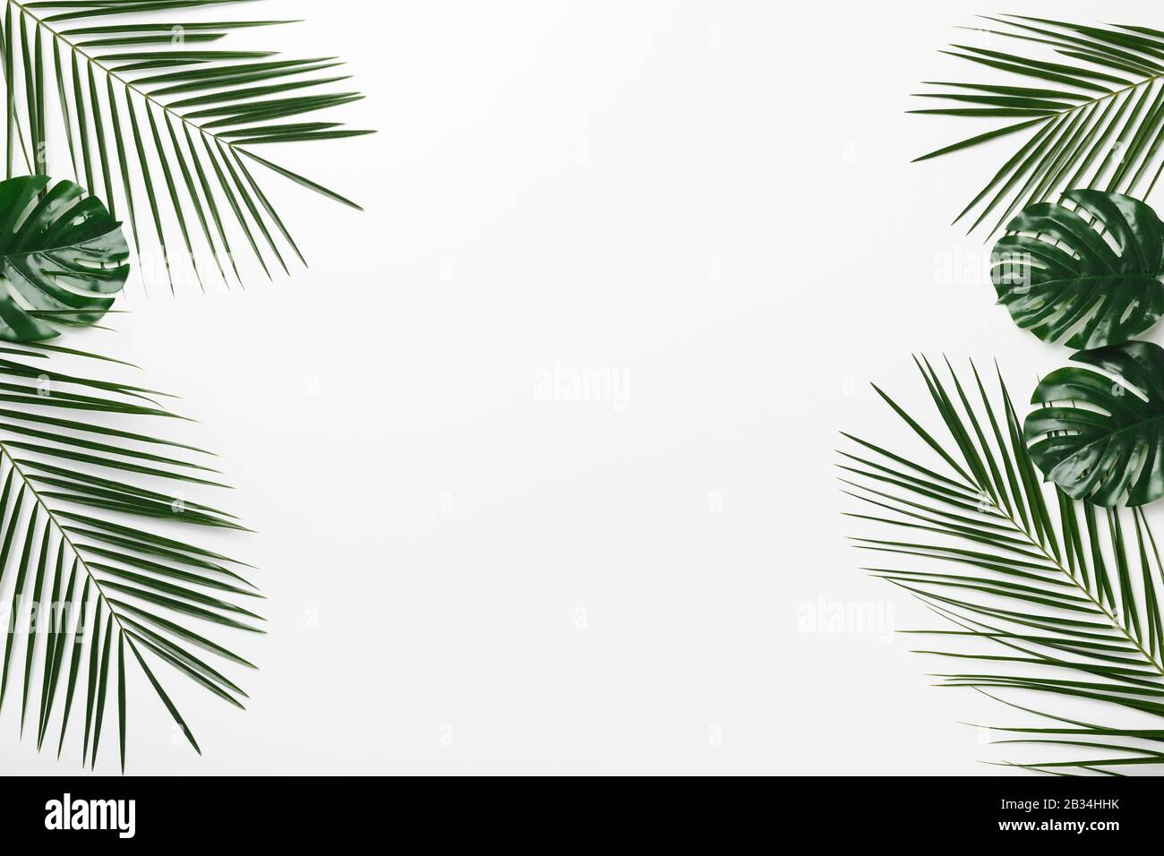 Cornice tropicale creativa di palma e Monstera foglie su bianco Foto Stock