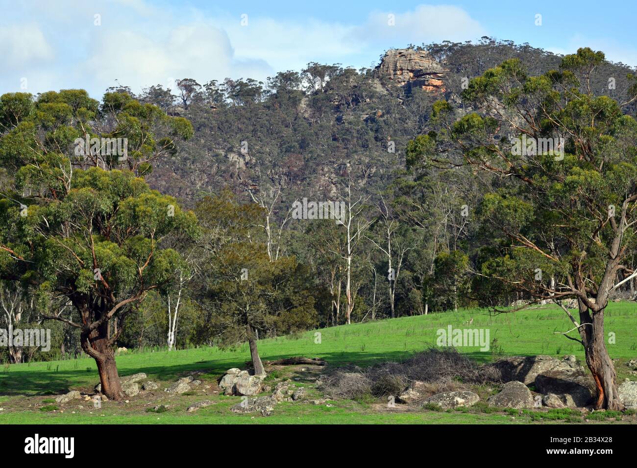 Una scena sulla terra rurale a Hartley vale ai piedi delle Blue Mountains Foto Stock