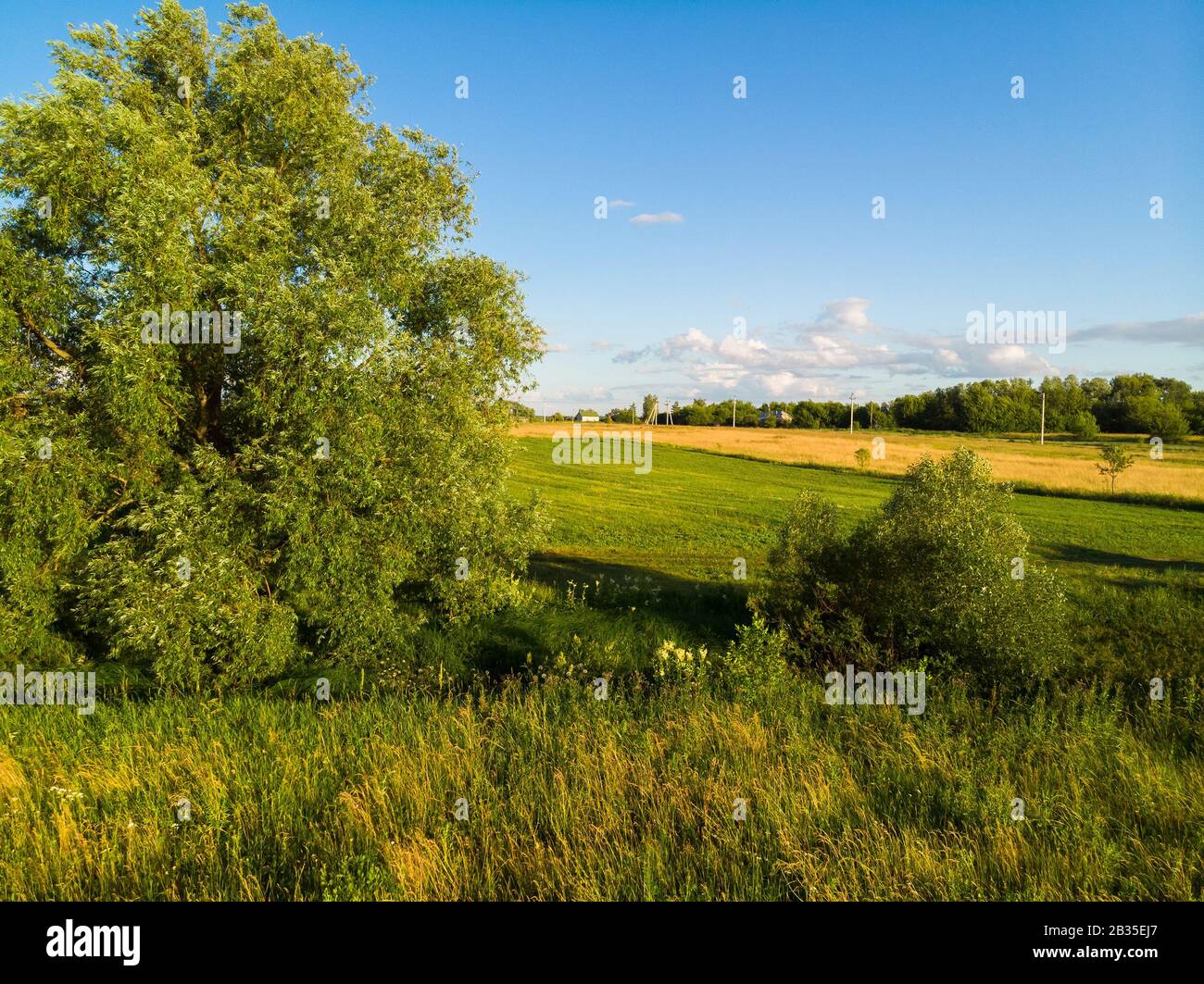 Campagna paesaggio rurale con alberi in Russia Foto Stock