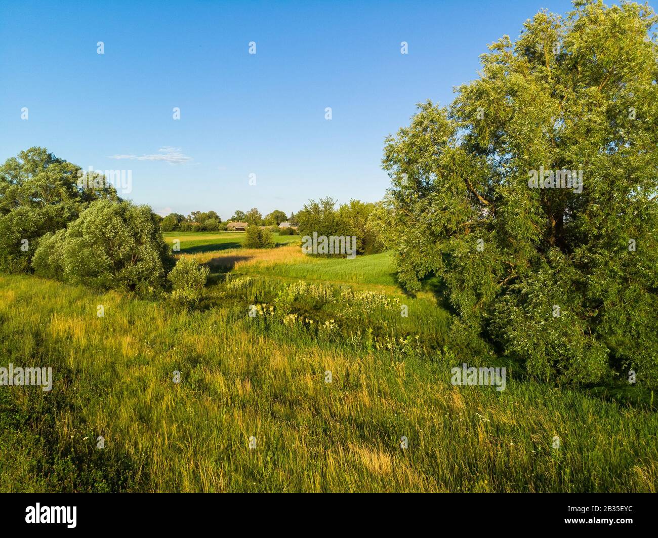 Campagna paesaggio rurale con alberi in Russia Foto Stock