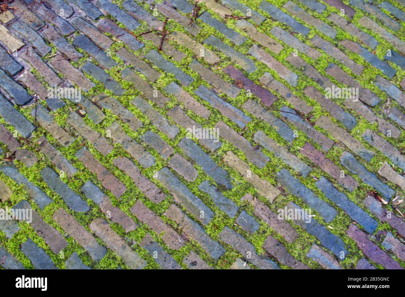 Primo piano di una vecchia strada acciottolata Foto Stock