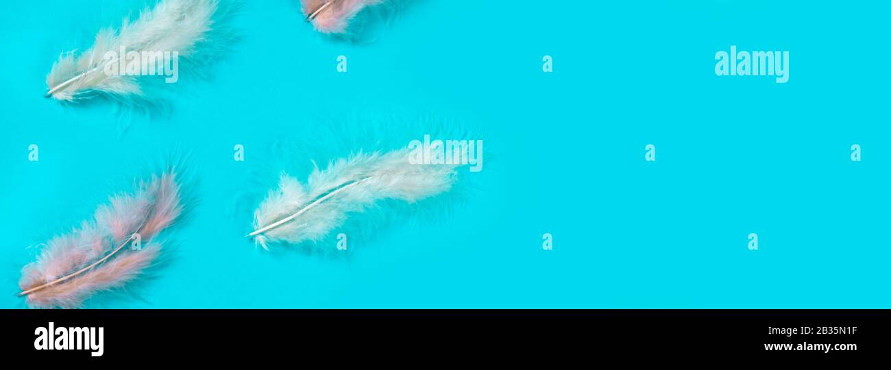 Soffice, soffice color pastello piume su sfondo blu. Concetto di festa di Pasqua o di primavera. Modello di minimalismo. Banner, copia spazio Foto Stock