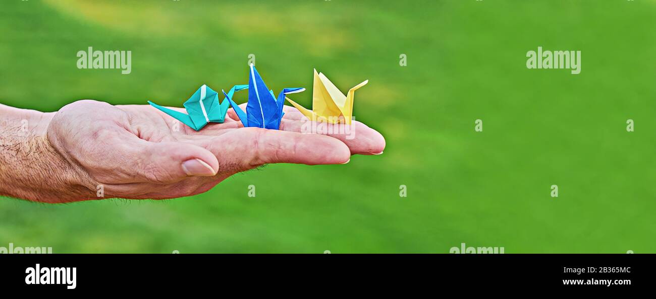 Tradizionale carroponte giapponese su mano maschile come simbolo di pace e felicità su sfondo verde. Palma maschio con colorate gru di carta fatte a mano orizuzu con spazio di copia, banner Foto Stock