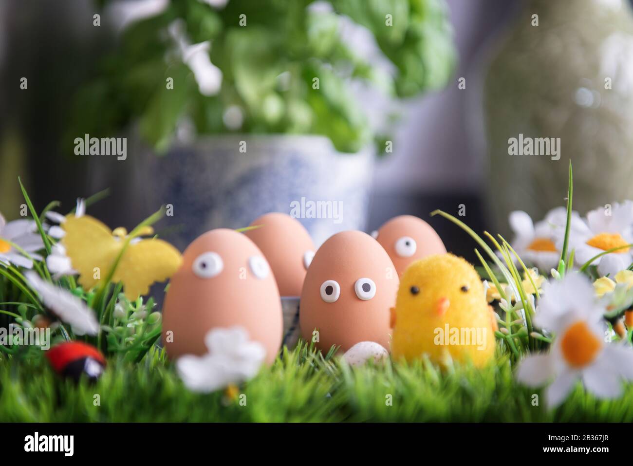 Uova di Pasqua felice in cucina tra l'erba di primavera con fiori, la caccia all'uovo di Pasqua, i personaggi delle uova con volti divertenti, felice concetto di Pasqua, cucina Foto Stock