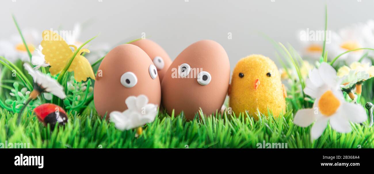 Felice uova di Pasqua tra l'erba di primavera con fiori su uno sfondo grigio isolato, caccia alle uova di Pasqua, cornice, personaggi di uova con volti divertenti, Felice e Foto Stock