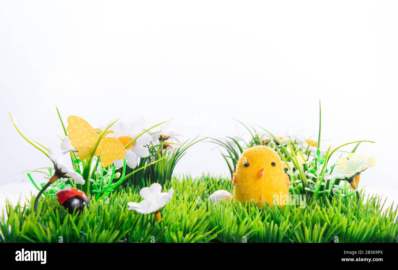 Felice uova di Pasqua in una fila tra l'erba di primavera con fiori su uno sfondo bianco isolato, cornice, bordo, personaggi di uova con occhi divertenti, Felice e Foto Stock