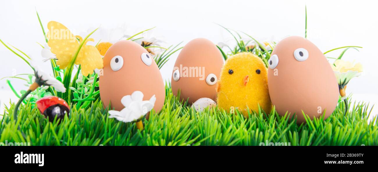 Felice uova di Pasqua in una fila tra l'erba di primavera con fiori su uno sfondo bianco isolato, cornice, bordo, personaggi di uova con occhi divertenti, Felice e Foto Stock