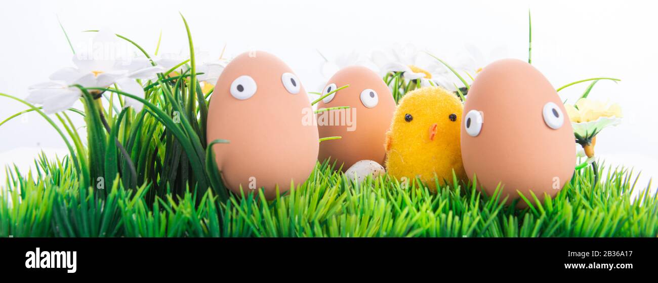 Felice uova di Pasqua in una fila tra l'erba di primavera con fiori su uno sfondo bianco isolato, cornice, bordo, personaggi di uova con occhi divertenti, Felice e Foto Stock