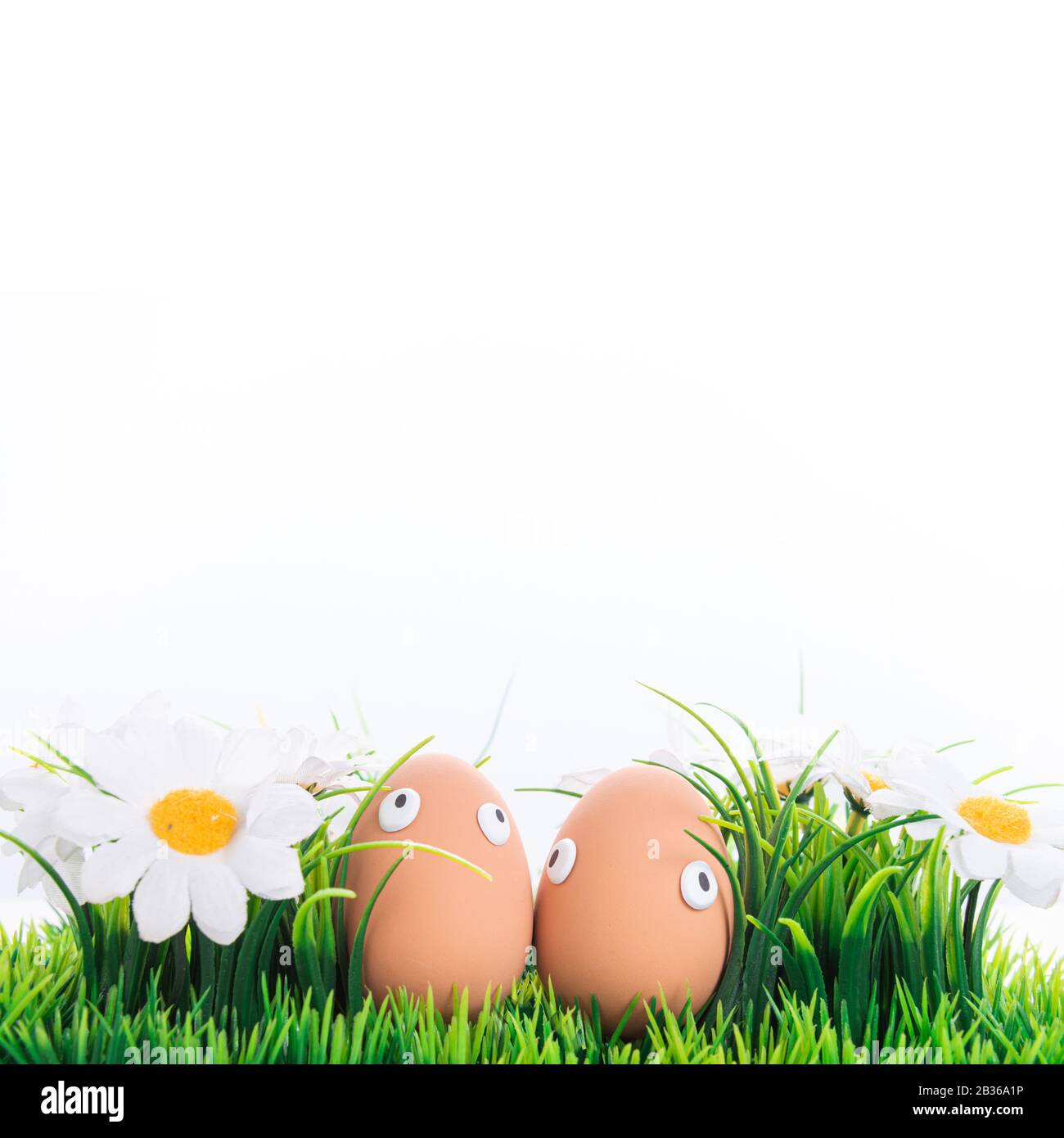 Felice uova di Pasqua in una fila tra l'erba di primavera con fiori su uno sfondo bianco isolato, cornice, bordo, personaggi di uova con occhi divertenti, Felice e Foto Stock