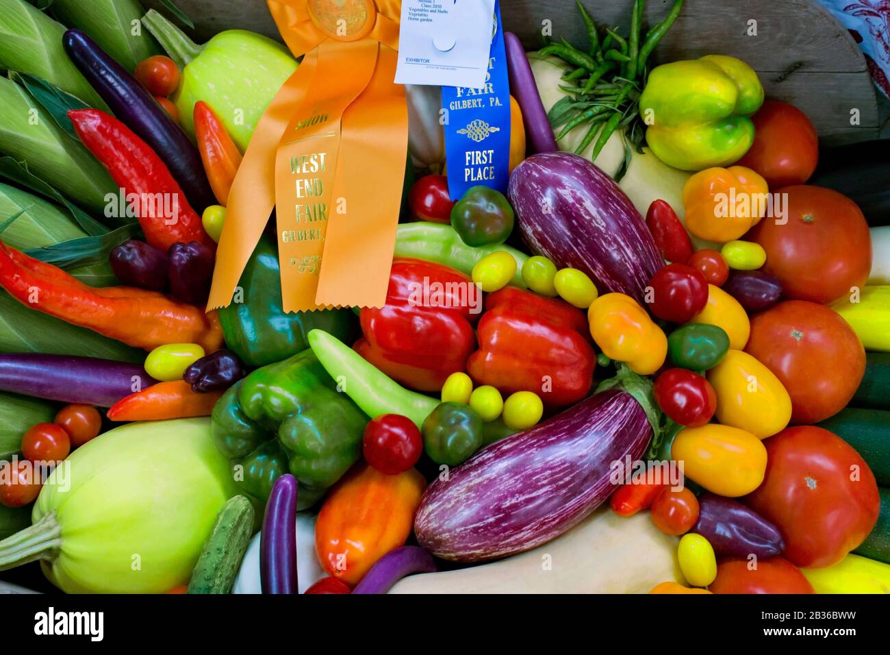 Una varietà di verdure vince il meglio in esposizione alla fiera del West End a Gilbert, Pennsylvania Foto Stock