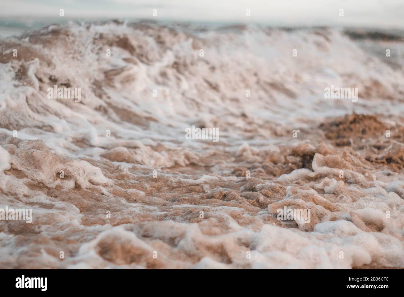 Collisione nelle acque tropicali. Foto Stock