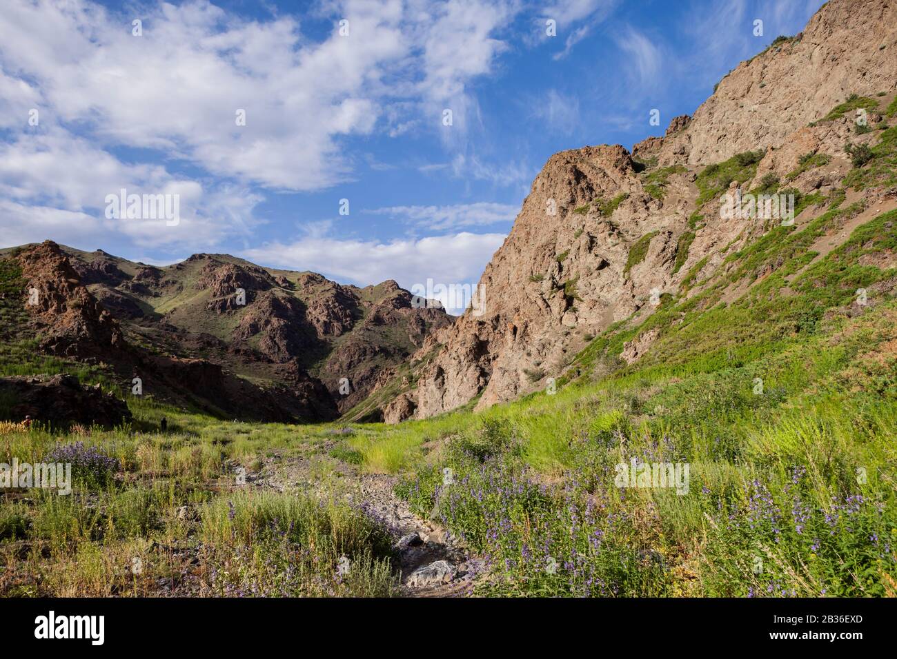 Mongolia, provincia di Omnogovi, Yolyn Am Gorges paesaggio roccioso Foto Stock