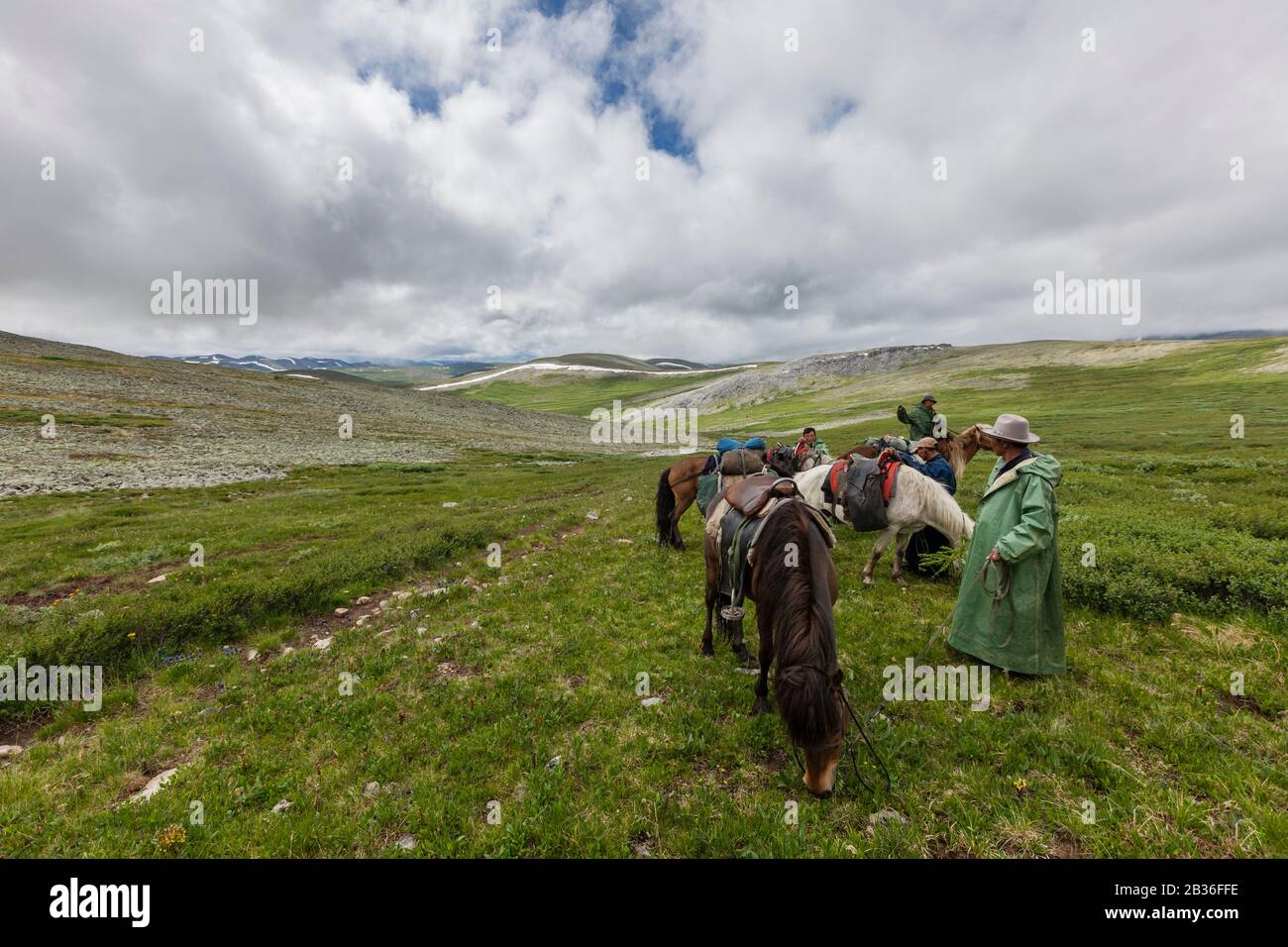 Mongolia, provincia di Khovsgol, vicino a Tsagaannuur, Taiga ovest, attraversando un passo, altitudine 2441 metri, trekking a cavallo e campeggio per incontrare il popolo Tsaatan Foto Stock