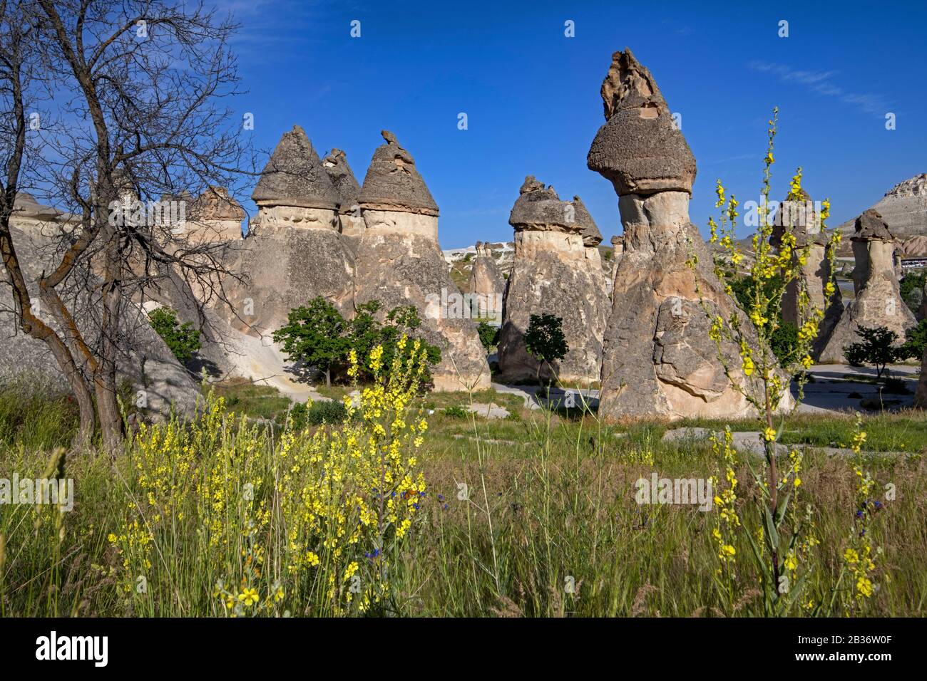 Turchia, Cappadocia, Pasabagi, Monks Valle Foto Stock