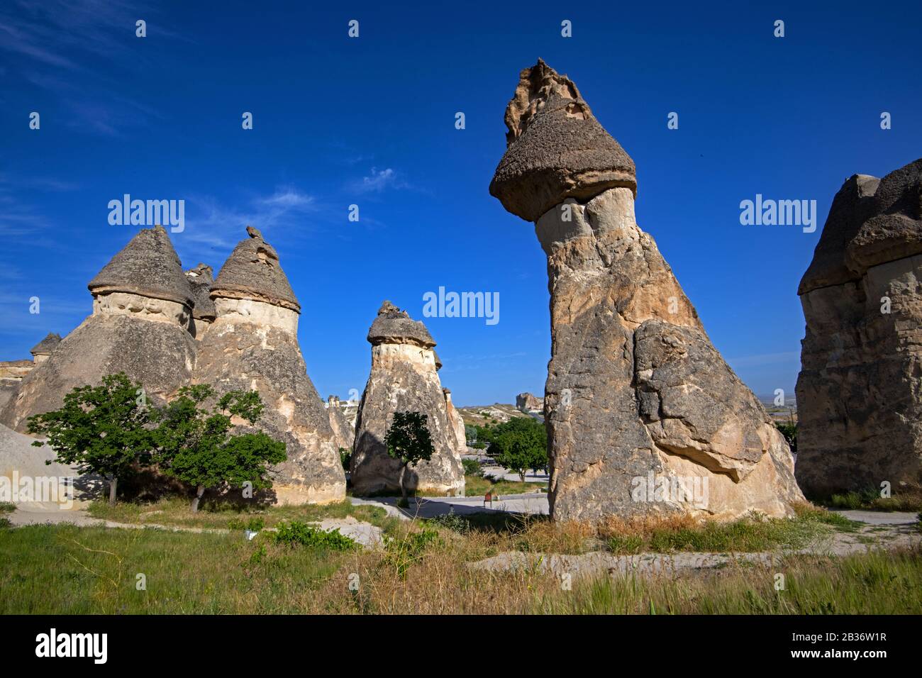 Turchia, Cappadocia, Pasabagi, Monks Valle Foto Stock