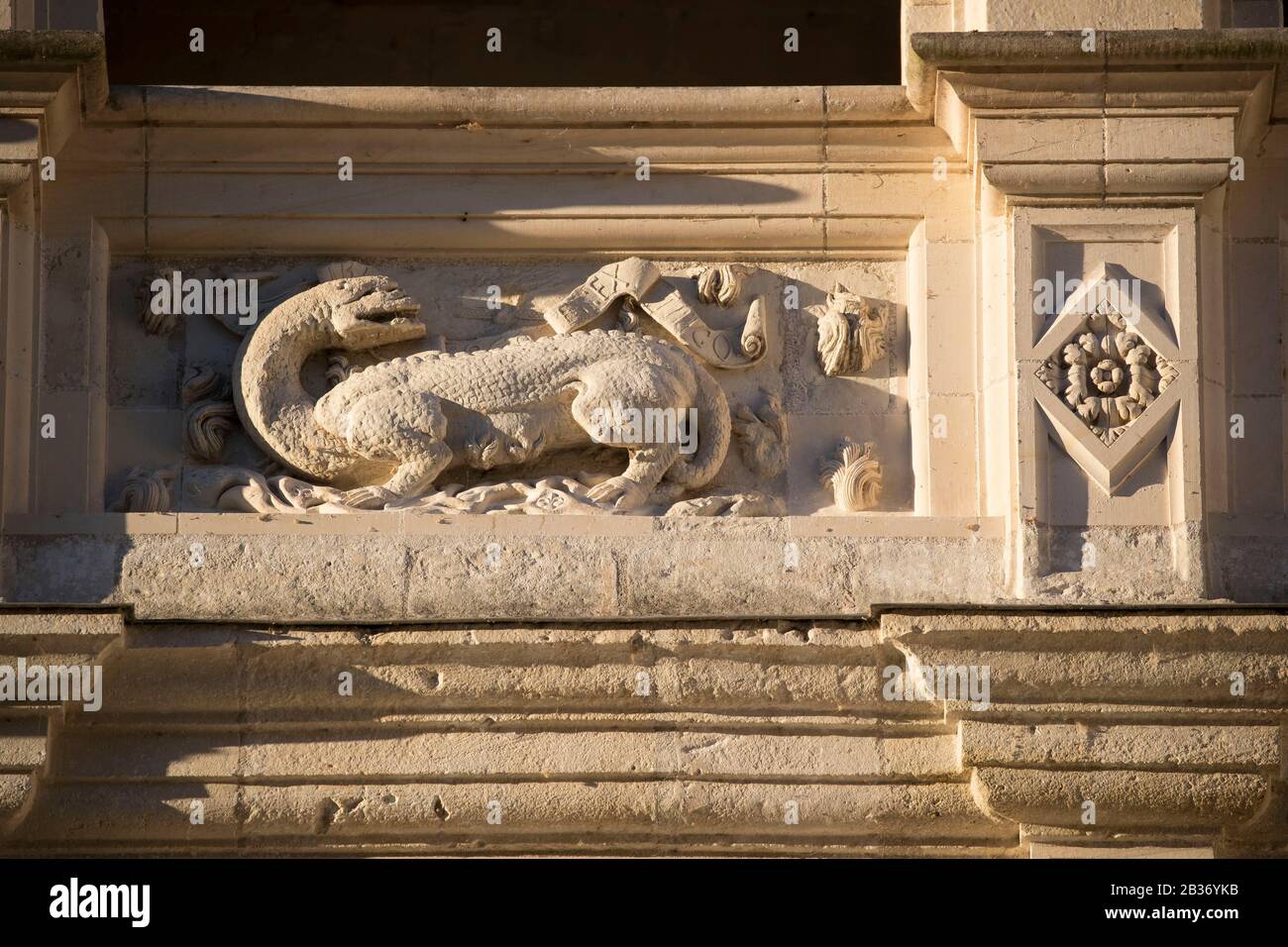 Francia, Indre et Loire, Valle della Loira dichiarata Patrimonio dell'Umanità dall'UNESCO, Azay-le-Rideau, Azay-le-Rideau castello, l'emblema della salamandra di François 1er Foto Stock