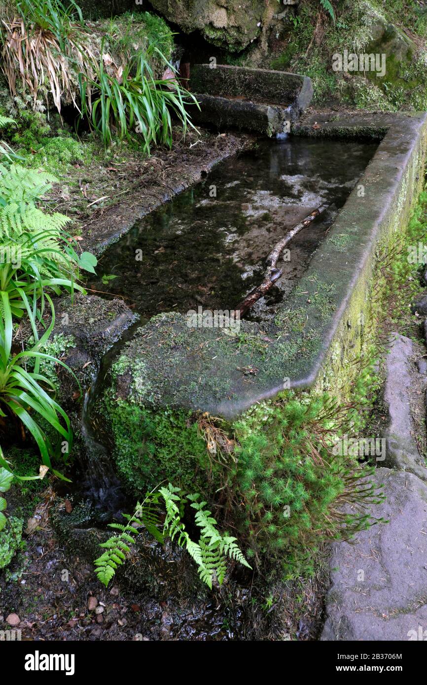 Francia, Vosges, Donon montagne, Vexaincourt, Lago di Maix, sentiero intorno al lago, fonte, fontana Foto Stock