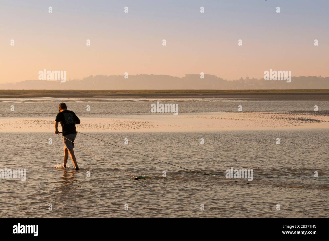 Francia, Somme (80), Baie de Somme, le Crotoy, a differenza della maggior parte dei pescatori che utilizzano una rete che è spinta di fronte a voi, questa riva fisher utilizza una sorta di mini-traino che ci tiriamo dietro Foto Stock