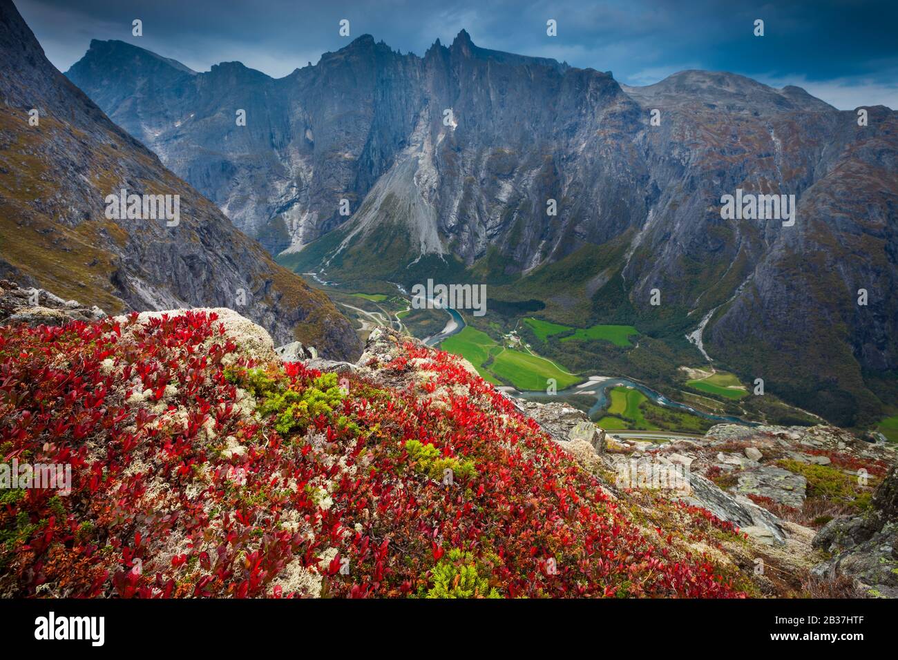 Colori autunnali e paesaggio montano nella valle di Romsdalen, Rauma kommune, Møre og Romsdal, Norvegia. Foto Stock