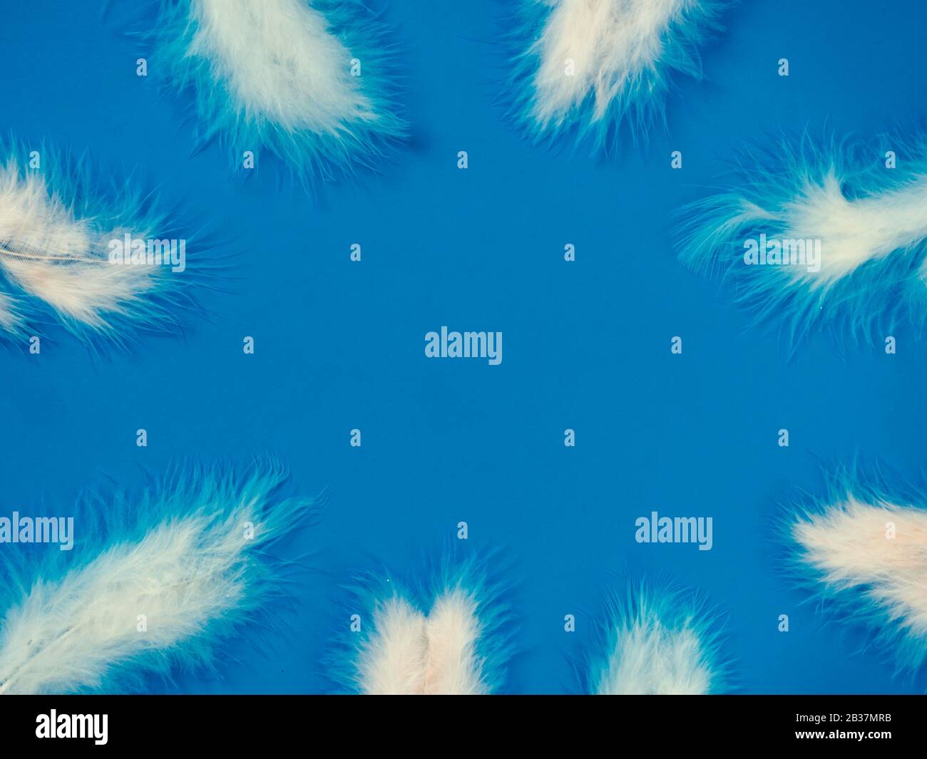 cornice da soffici piume bianche su sfondo blu, piatto lay, copia spazio Foto Stock