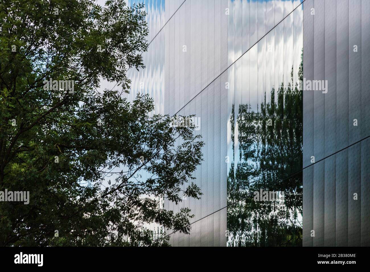 Architettura moderna e albero a Basilea Foto Stock