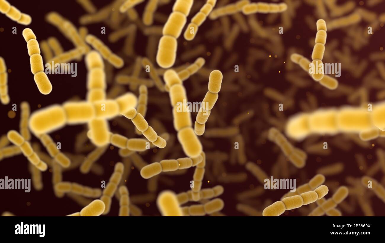 Cellule batteriche di Streptococcus pneumonia. 3D rendering sfondo microscopico. Foto Stock