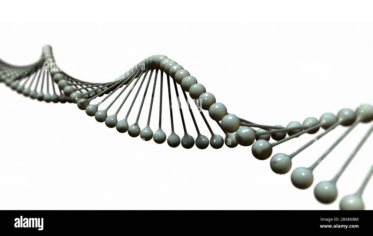 Spirale di DNA isolata su sfondo bianco Foto Stock