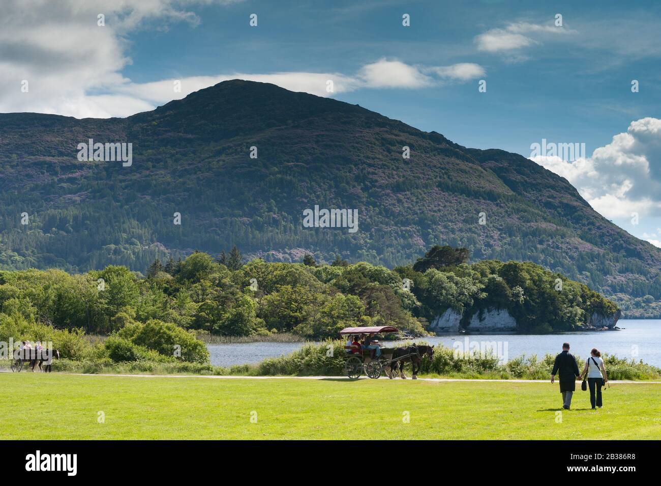 I turisti che camminano sui terreni della casa di Muckross nel parco nazionale di Killarney, vagando per le automobili sul percorso Foto Stock