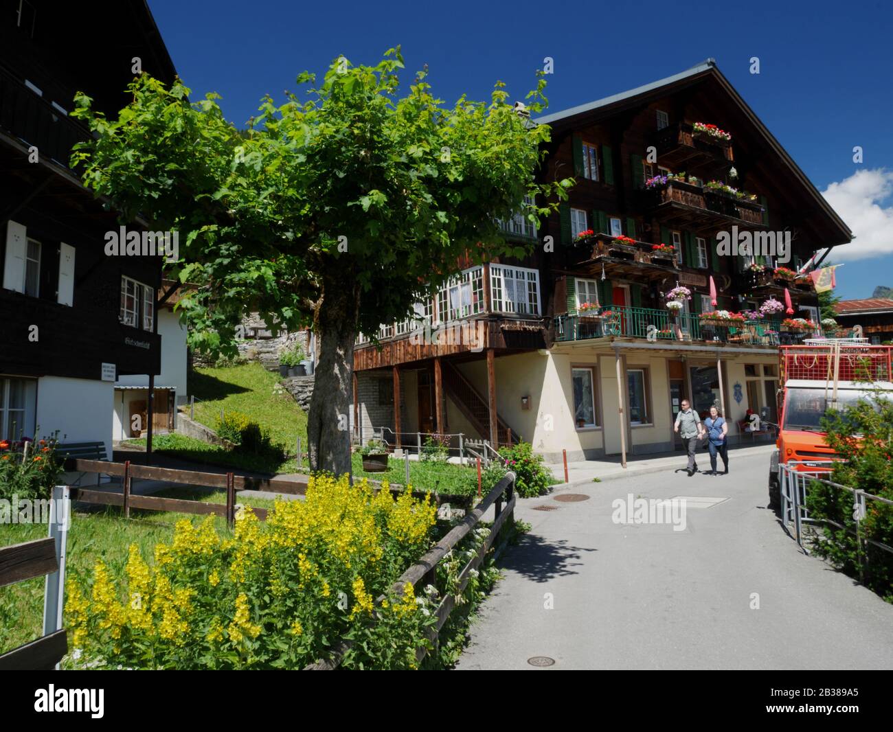Murren, Regione Dello Jungfrau, Svizzera. Foto Stock