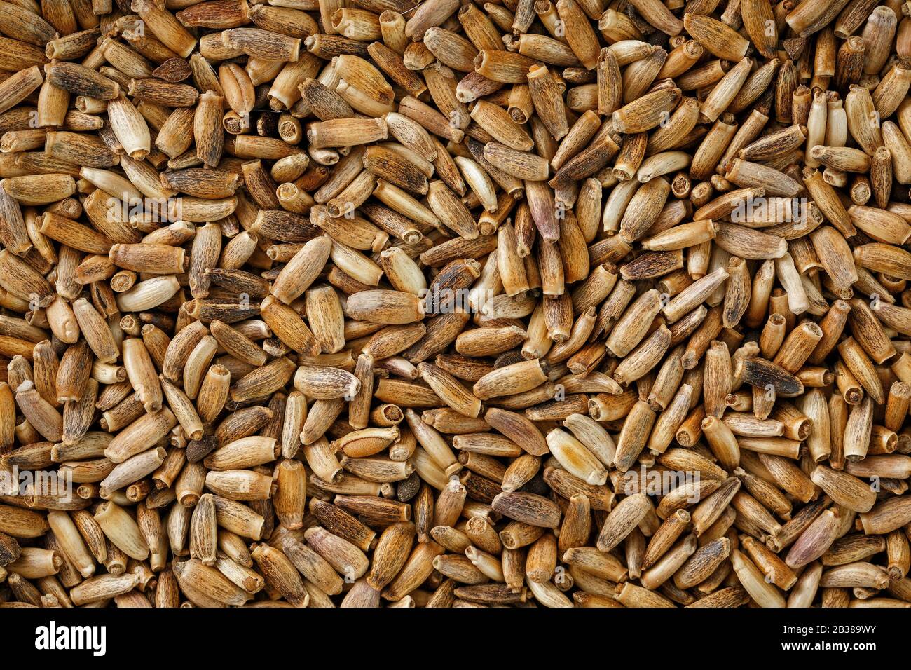 seme di uccello, alimento granulare misto per canarini e gerigar gerigar. Foto Stock