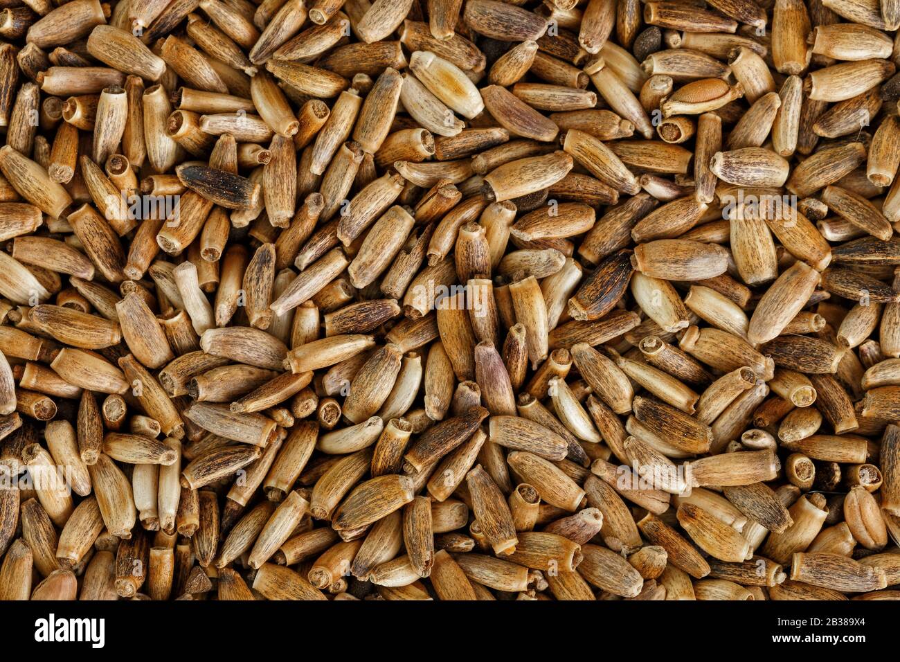 seme di uccello, alimento granulare misto per canarini e gerigar gerigar. Foto Stock