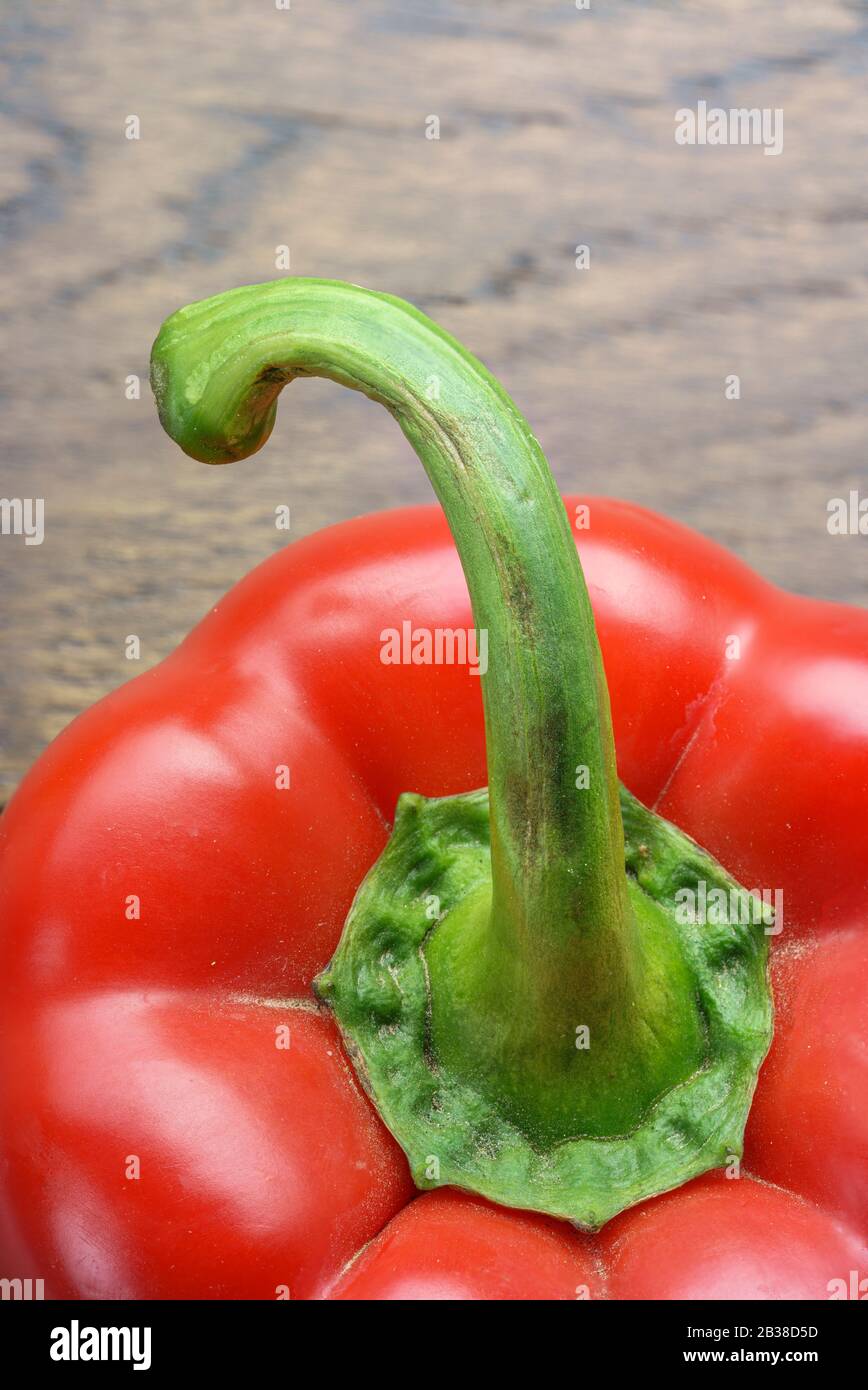 Primo piano e gambo di un peperone rosso su un tavolo di legno Foto Stock