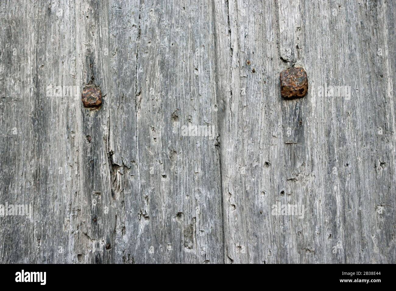 Vecchia porta medievale in legno in primo piano con danni e due bulloni in ferro che potrebbe essere utilizzato come sfondo Foto Stock