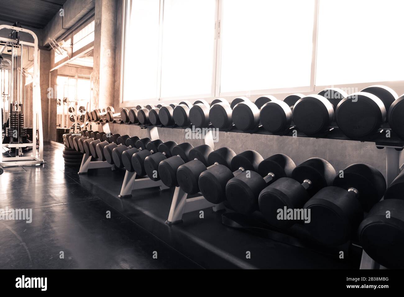 Manubri sono sugli scaffali della palestra. Moderno interno palestra con attrezzature. Attrezzature sportive in palestra. Foto Stock