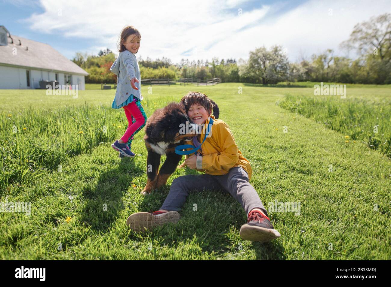 Un ragazzo gioioso lotta con un cucciolo, sorride sorella in background Foto Stock