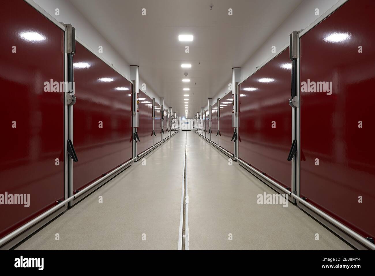 Grande corridoio in una moderna fabbrica di pollame Foto Stock