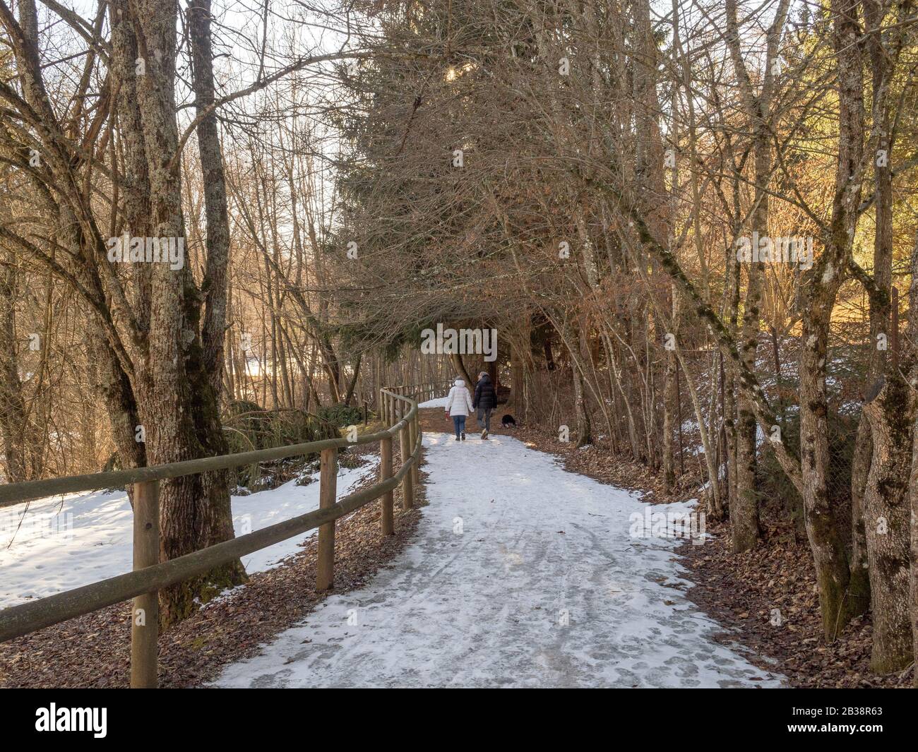 OLYMPUS FOTOCAMERA DIGITALE Foto Stock