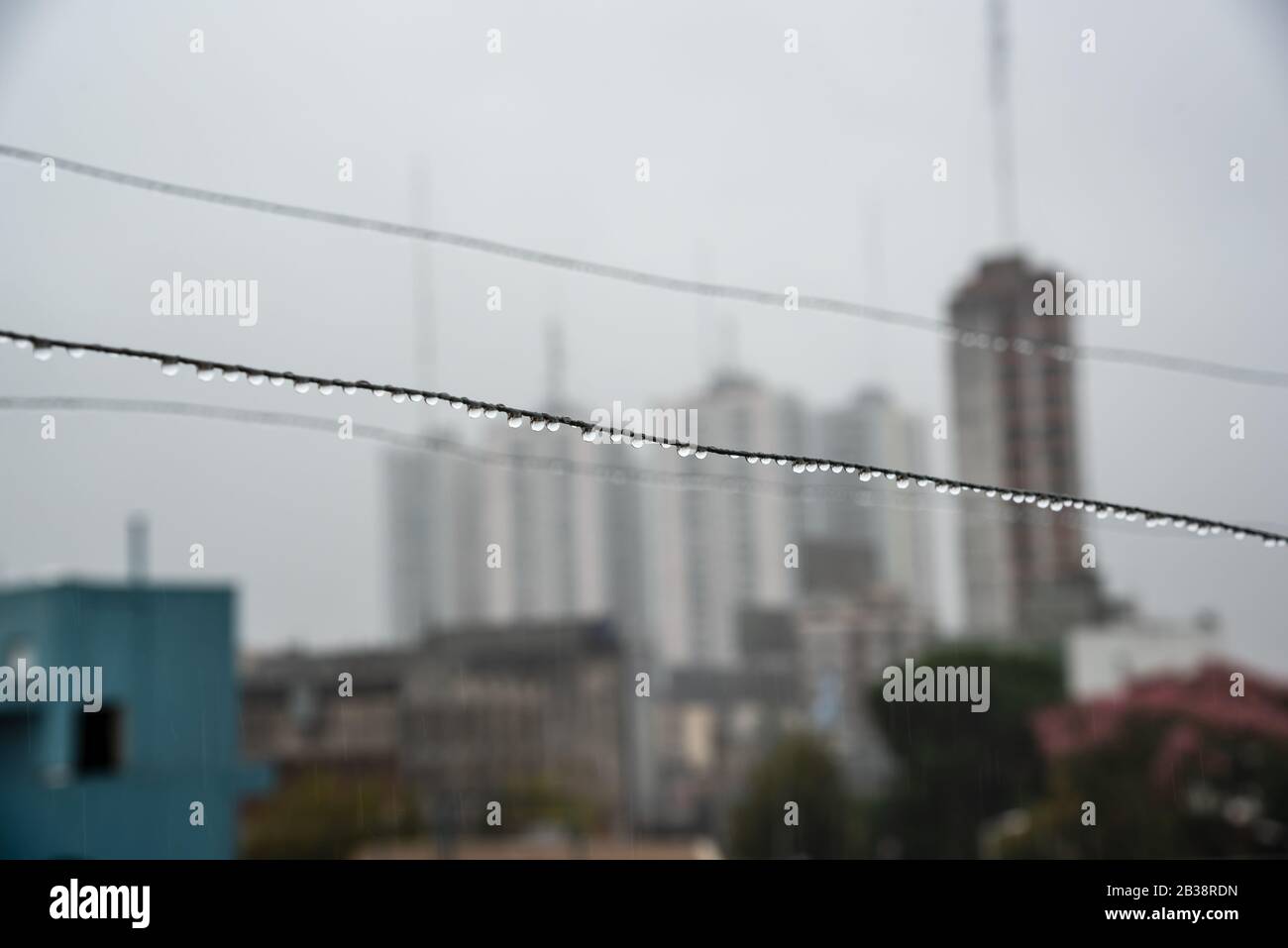 Cavo Clothesline pieno di piccole gocce in una giornata di pioggia con un fuoco selettivo su di loro e profondità di campo molto poco profonda con uno sfondo sfocato Foto Stock