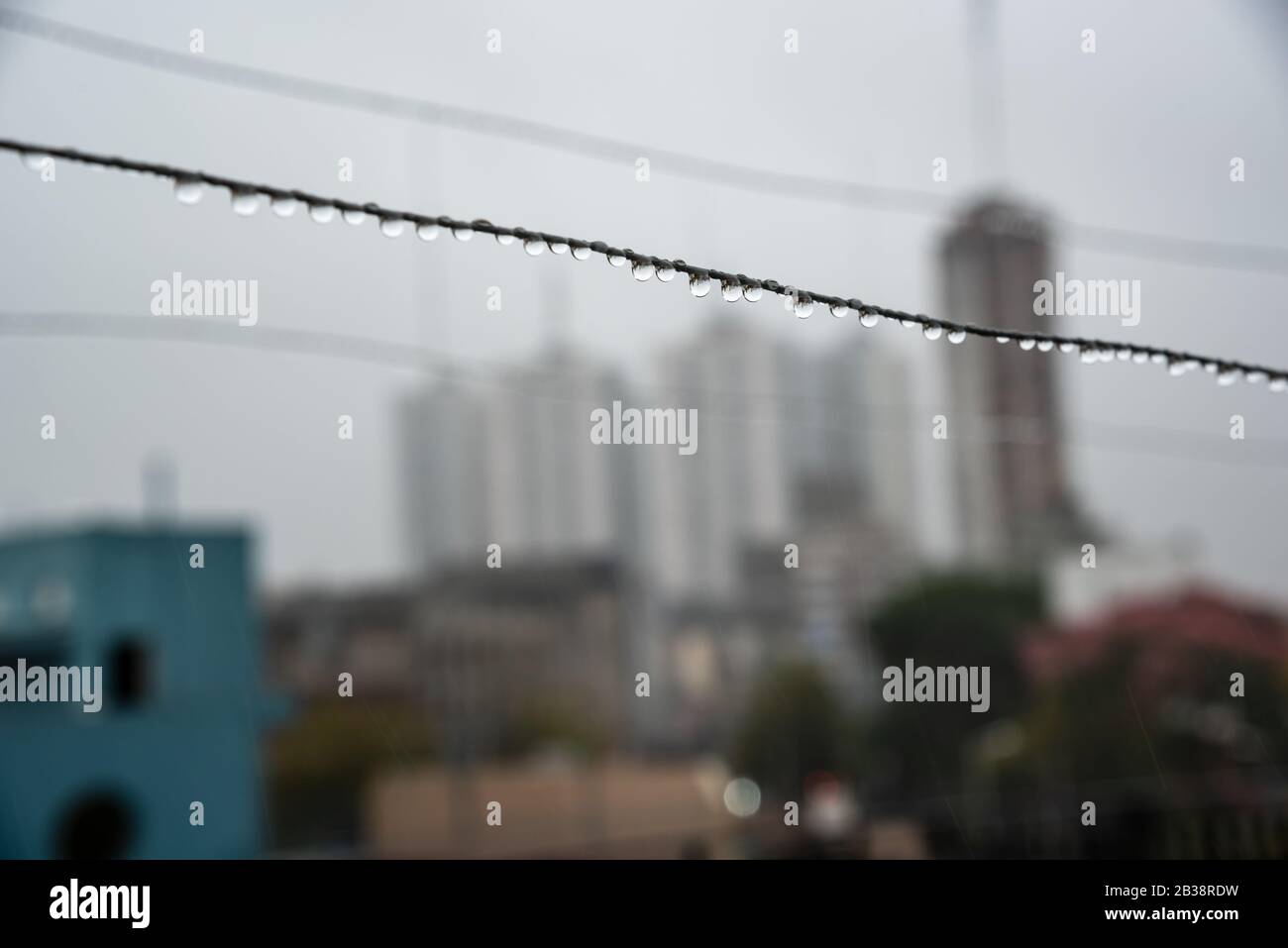 Cavo Clothesline pieno di piccole gocce in una giornata di pioggia con un fuoco selettivo su di loro e profondità di campo molto poco profonda con uno sfondo sfocato Foto Stock