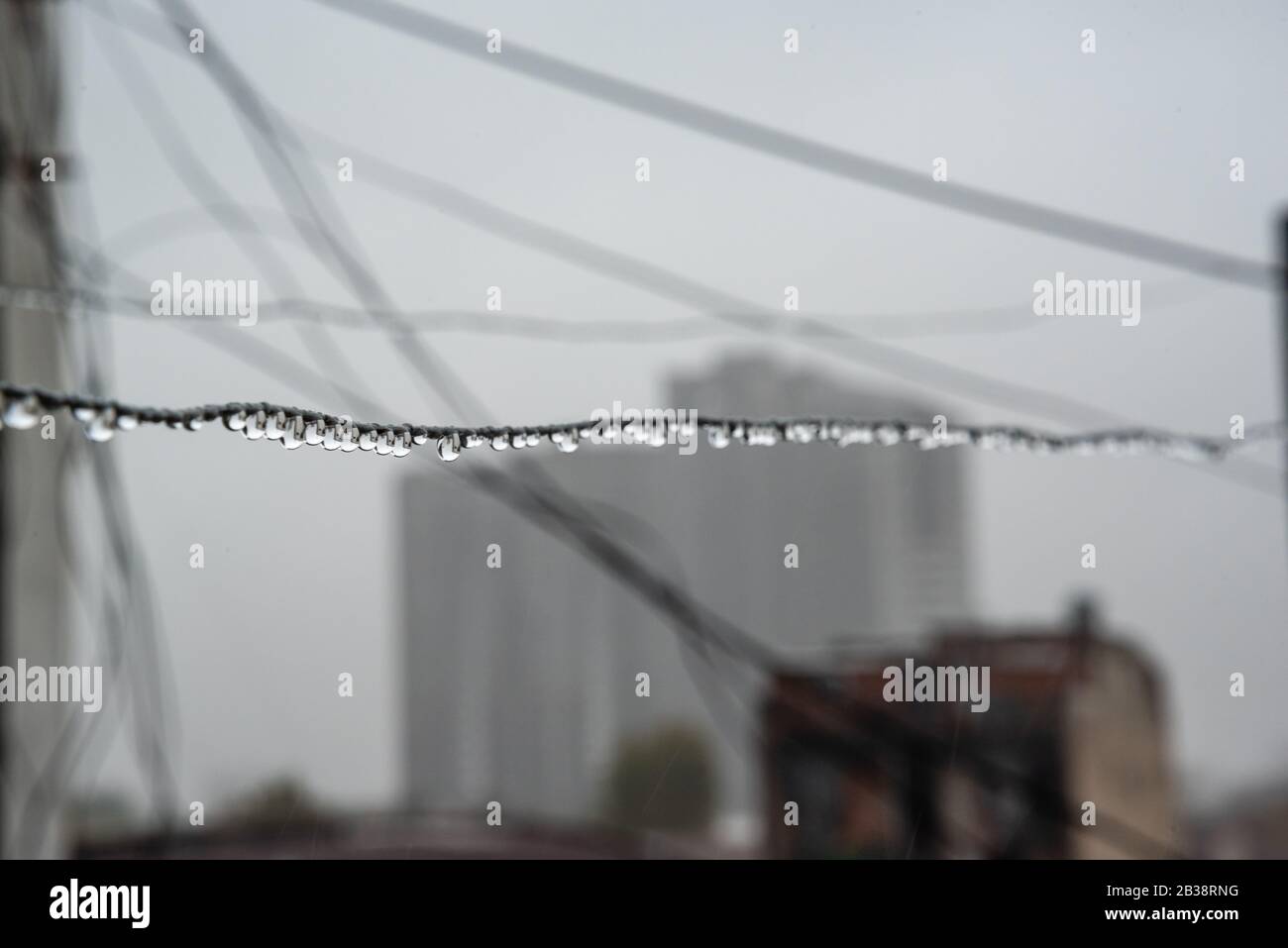 Cavo Clothesline pieno di piccole gocce in una giornata di pioggia con un fuoco selettivo su di loro e profondità di campo molto poco profonda con uno sfondo sfocato Foto Stock